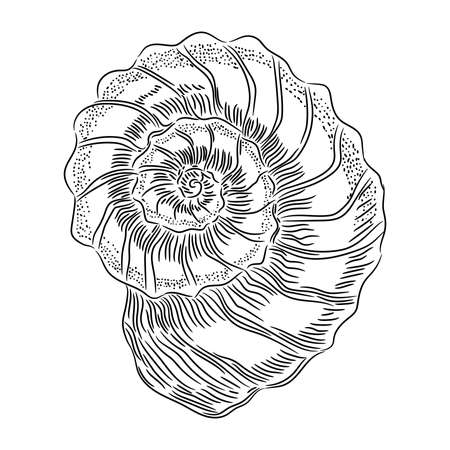 Spiral shell one sketch from the contour black brush lines different thickness on white background. Vector illustration.のイラスト素材