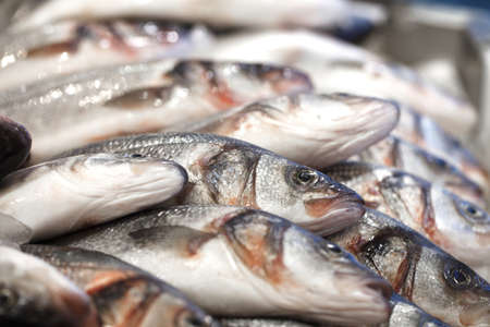 Fish on ice, fresh raw whole chilled, at the fish market, bokeh.の写真素材
