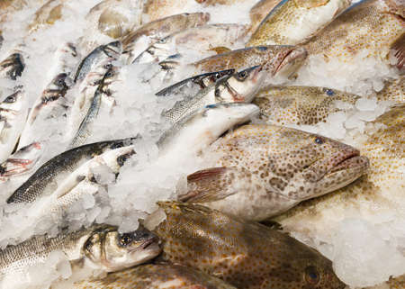 Fresh raw whole fish different chilled on ice, at the fish market.の写真素材