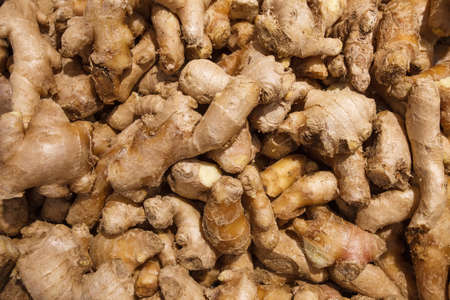 Ginger root unpeeled, whole, many piled in bulk, in food market.の写真素材