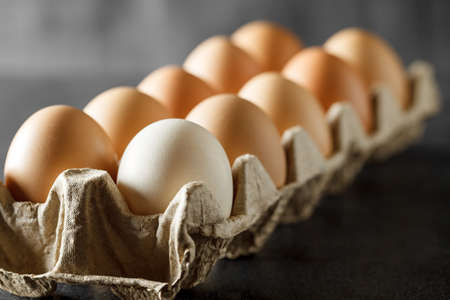 Chicken eggs in cardboard tray, on dark background, selective focus,の写真素材