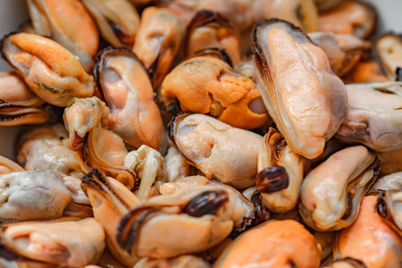 Mussels, seafood entrails without flaps, shellfish cooked boiled, close-up, lot of pieces in bulk,...