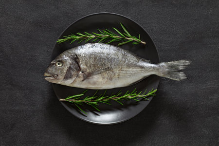 Dorado, raw fresh uncooked fish, rosemary, on gray plate, on dark background, top view, space to...