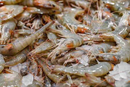 Raw shrimp or prawns on ice at fish supermarket, selective focusの写真素材