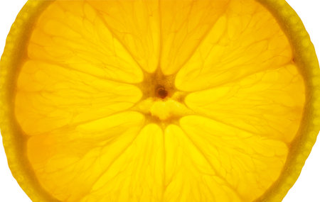 Lemon cut yellow, in background light, palpi close-up macro view, isolated on white background with clipping pathの写真素材