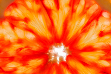 Bloody red orange kara-kara, cut lobule sectors, top view, to lumen in contour light close-up