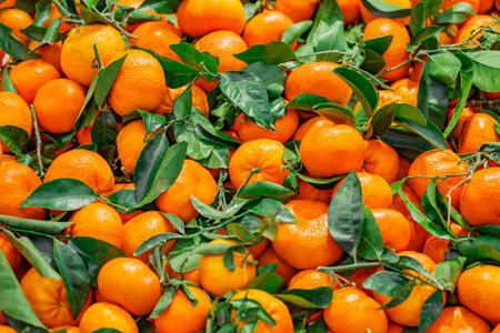 Tangerines with leaves, whole, in bulk, on supermarket, selective focusの写真素材