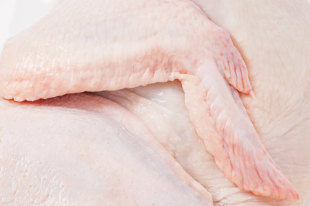 Chicken carcass raw wing close-up pink skin diet meatの写真素材