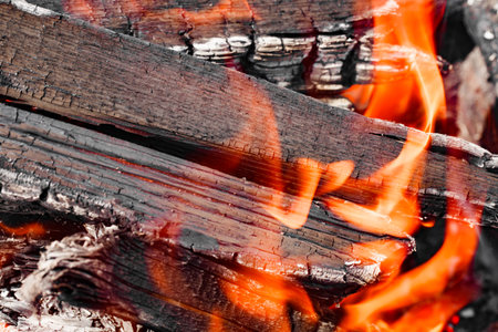 Burning wood, fire on coals close-up, selective focus