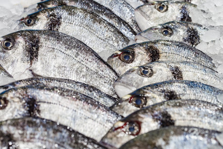 Dorado, raw fillets on ice at the fish market, selective focusの写真素材
