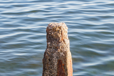 Pile pillar old concrete broken in sea close-up on clear dayの写真素材