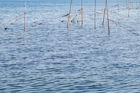 Fishing old nets, with rusty piles and tripwires in water on seaの写真素材