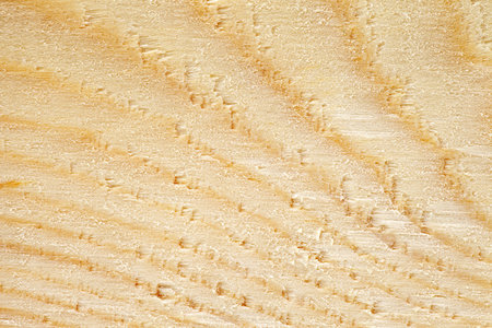 Wood surface close-up, processed wooden board, tree structure backgroundの写真素材