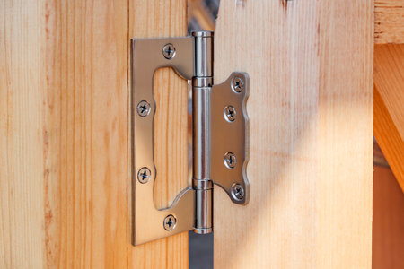 modern door hinge screwed to wooden door