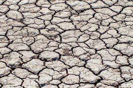 dry cracked earth, selective focusの写真素材