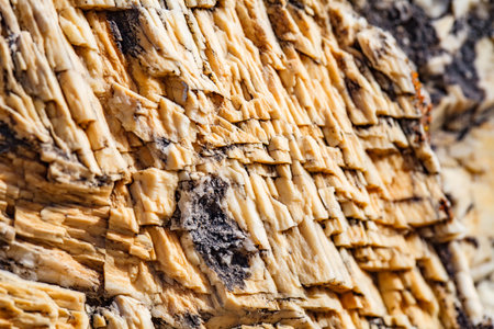 yellow crystalline rock close-up
