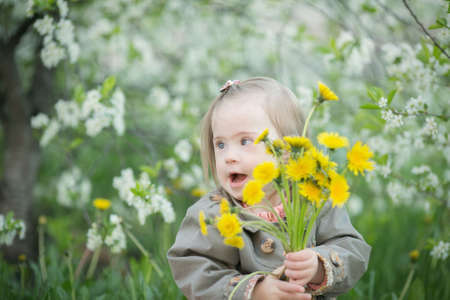 little girl with Down syndrome is holding a bouquet of dandelionsの写真素材
