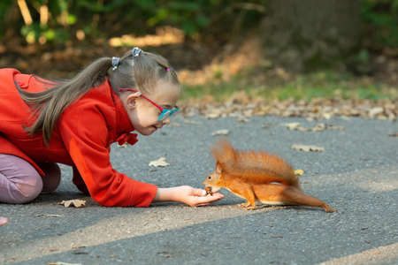 A girl with down syndrome feeds a squirrel nuts in the forest at sunsetの写真素材