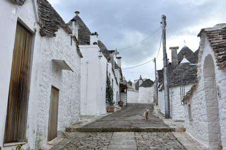 Unique Trulli houses of Alberobello, Puglia region, Italy.の写真素材