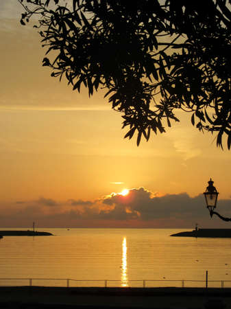 sunrise over the sea and palmの写真素材