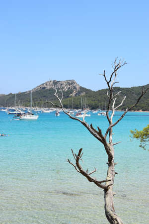 Sea view of Porquerolles island in Franceの写真素材