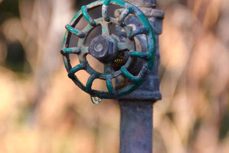 tap with drop of water and a waspの写真素材