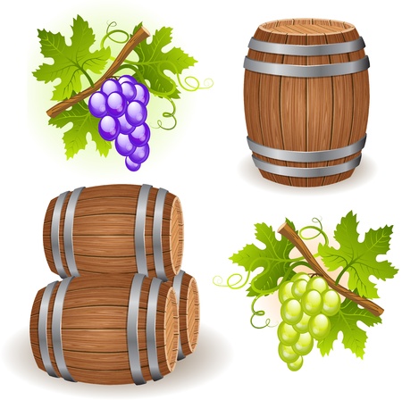 Wooden barrels and grapeのイラスト素材