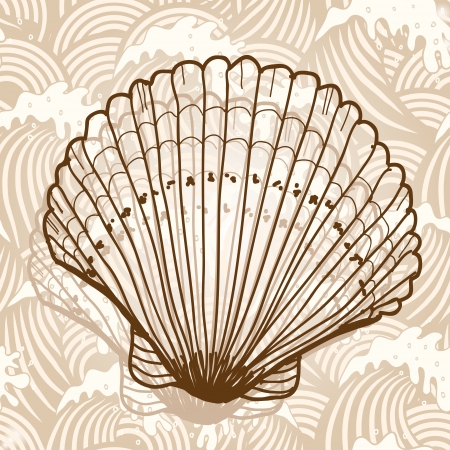 Sea shellのイラスト素材
