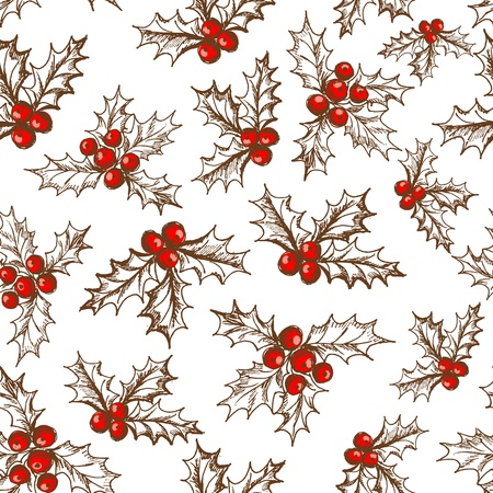 Holly berryのイラスト素材