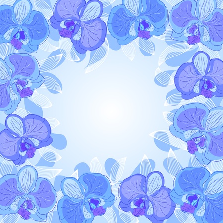 orchid frameのイラスト素材