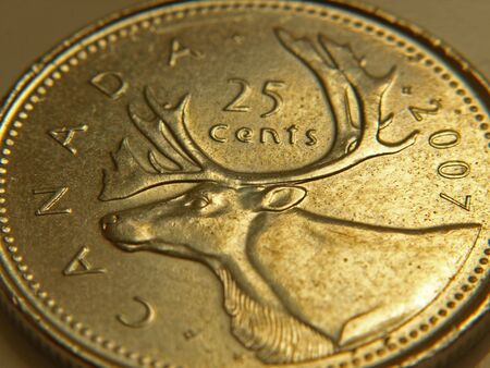 Closeup Picture of Canadian Coin