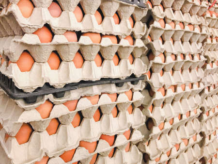 Many fresh egg panel stacked in layers and are sold in supermarkets
