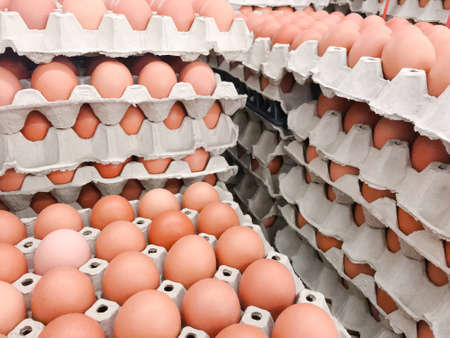 Many fresh egg panel stacked in layers and are sold in supermarketsの写真素材