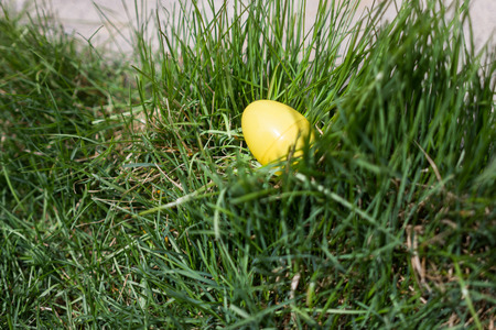 Yellow or golden egg in grass