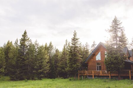 Wooden beam log cabin amidst lush forestの写真素材