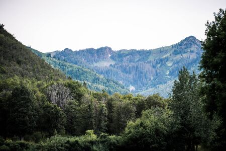 Green tree covered mountain landscape in Utah mountain range