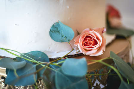 Gorgeous custom travel themed wedding cake with edible world map, pink roses, and message The Adventure Beginsの写真素材