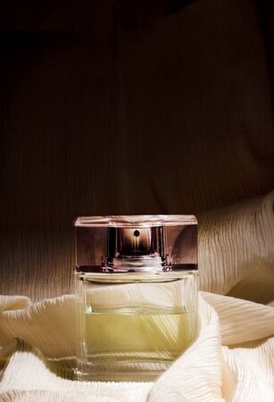 perfumeのeditorial素材