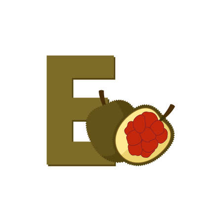 Alphabet Fruits Entawak, Clip Art Vector Flat Design, Illustration for kids, Letter Eのイラスト素材