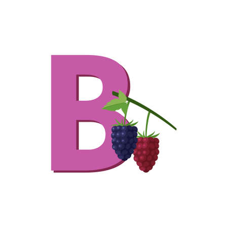 Alphabet Fruits Boysenberries Clip Art Illustration for Kids. Flat Design Vector Illustration, Letter Bのイラスト素材