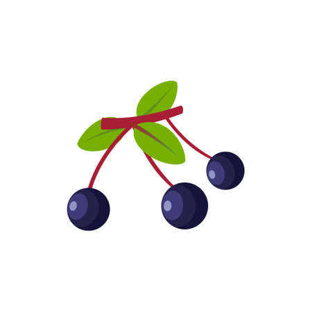 Farklerberry Flat design vector illustration isolated on a white backgroundのイラスト素材