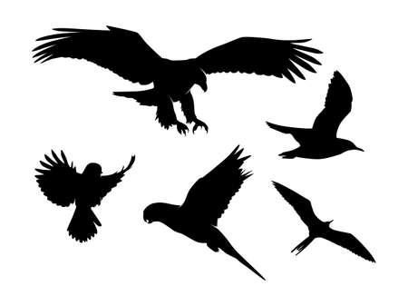 Set of Birds Silhouette Isolated on a white background -  Vector Illustrationのイラスト素材