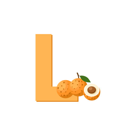 Letter L Alphabet Fruits Longan, Clip Art Vector, Illustration Isolated on a white backgroundのイラスト素材