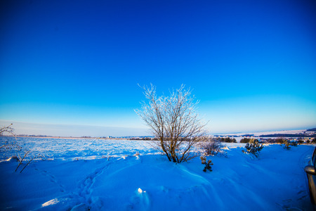 Winter beautiful landscapeの写真素材