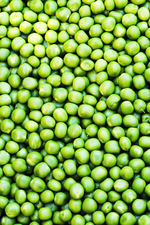 Green peas backgroundの写真素材