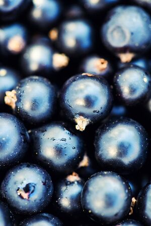 Heap of black currant. Textured backgroundの写真素材