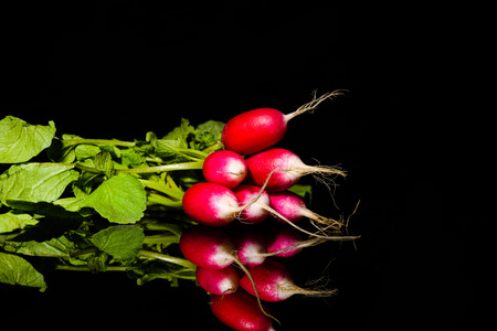 Red garden radish isolated on black backgroundの写真素材