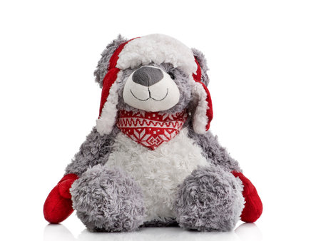 Toy teddy bear isolated on a white backgroundの写真素材