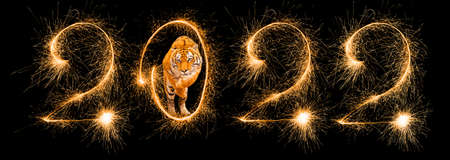 Happy New Year 2022. Number 2022 written sparkling sparklers isolated on black background.の写真素材