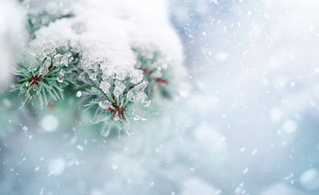 Christmas tree and New Years holiday backgroundの写真素材